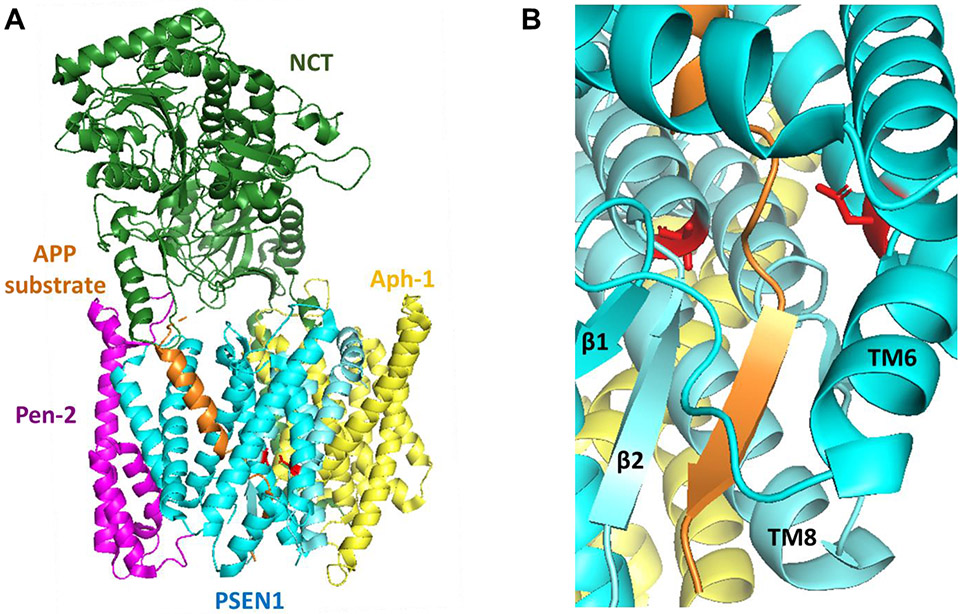 Figure 2.