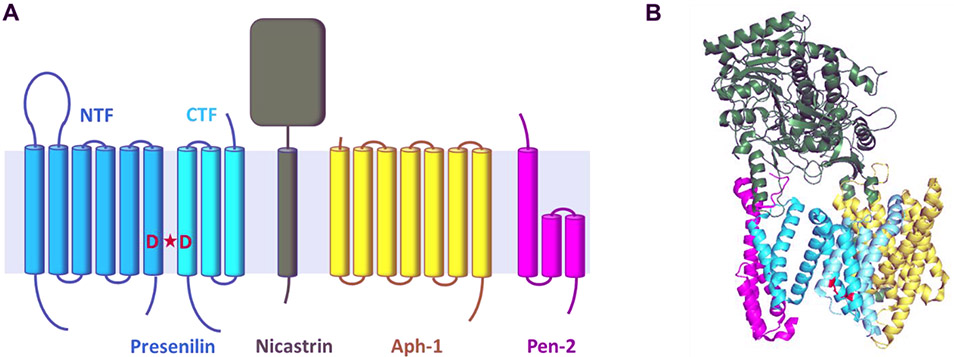 Figure 1.