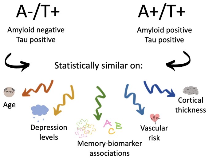 Graphical abstract