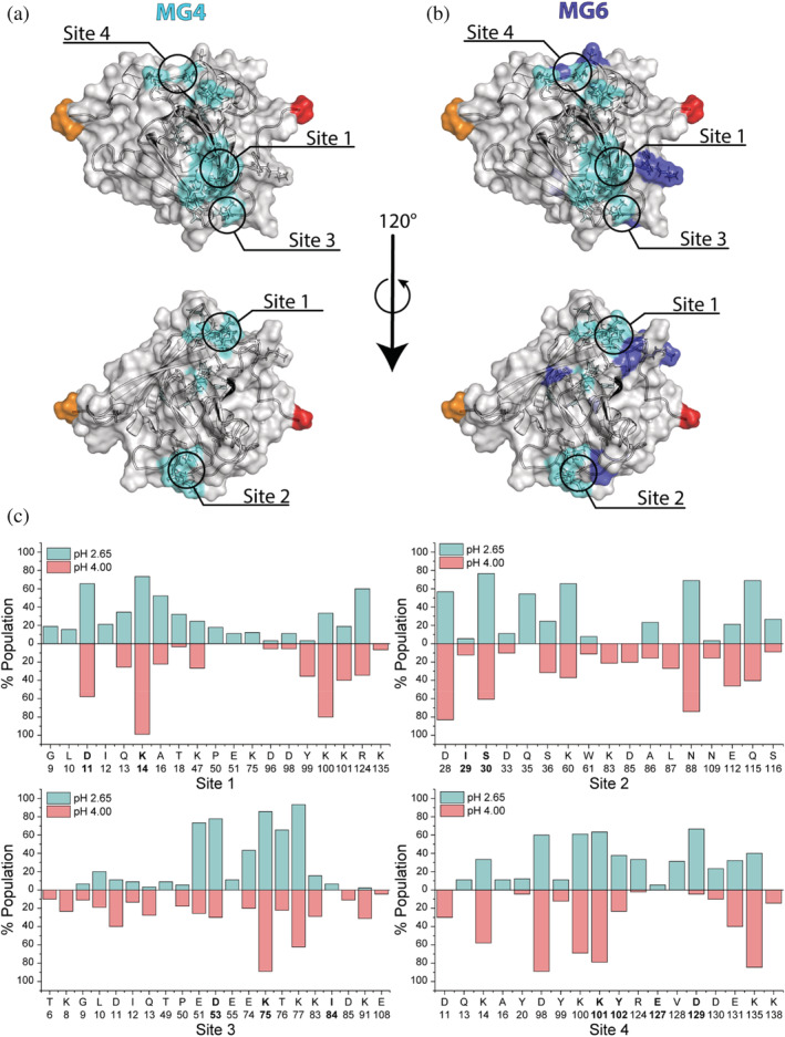 FIGURE 3