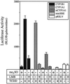 FIG. 3