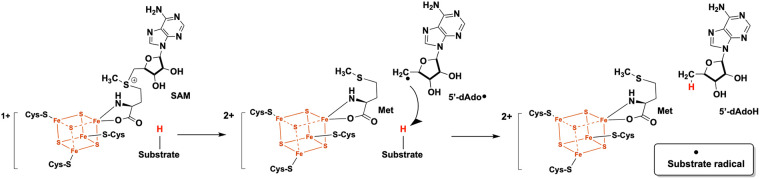 FIG 1