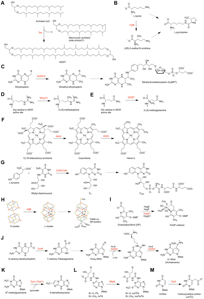 FIG 2