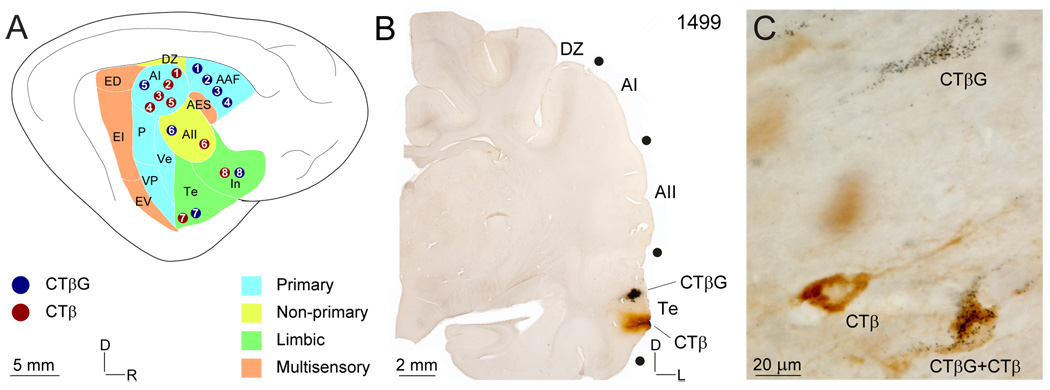 Fig. 1