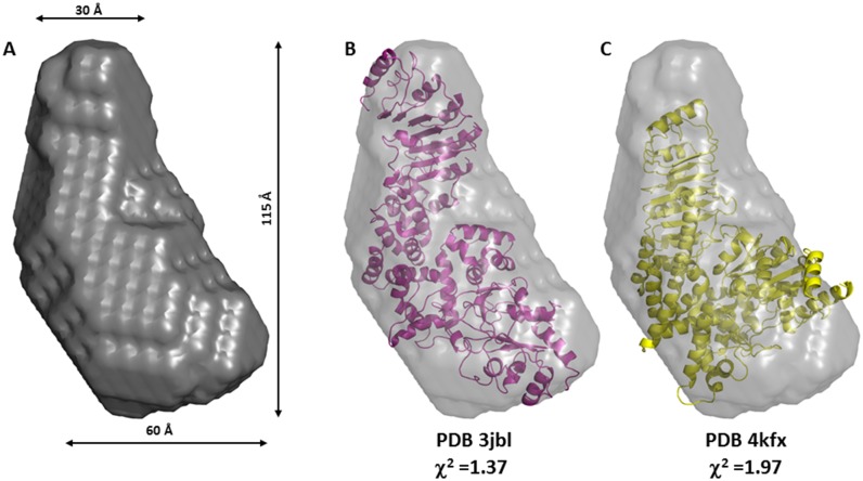 Fig 5