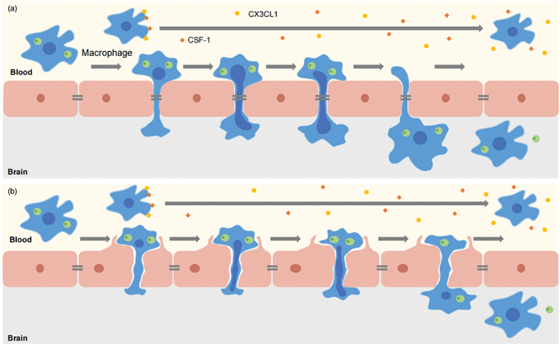 Figure 5.