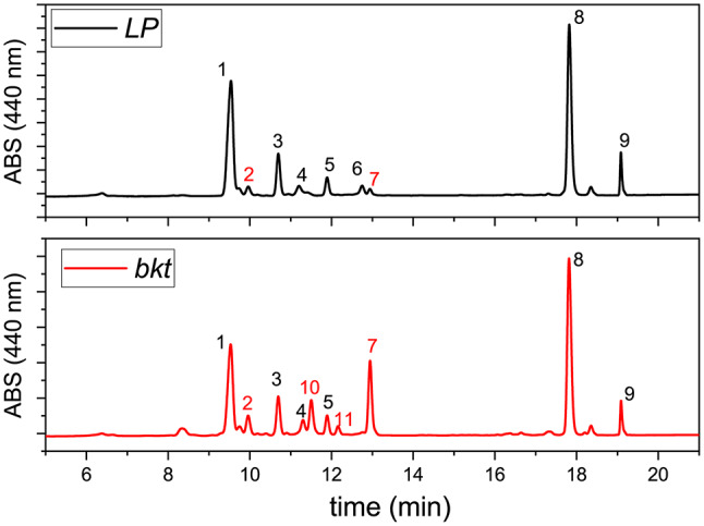 Fig. 3