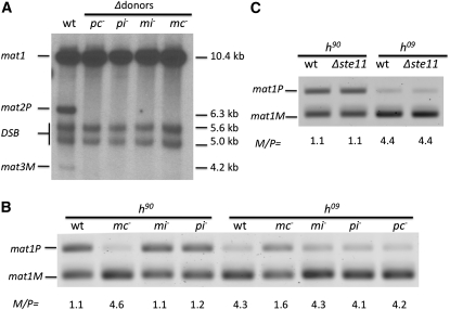 Figure 2 