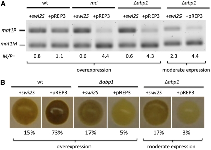 Figure 5 