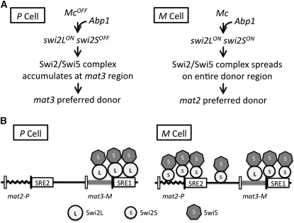 Figure 7 