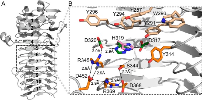 FIGURE 3.