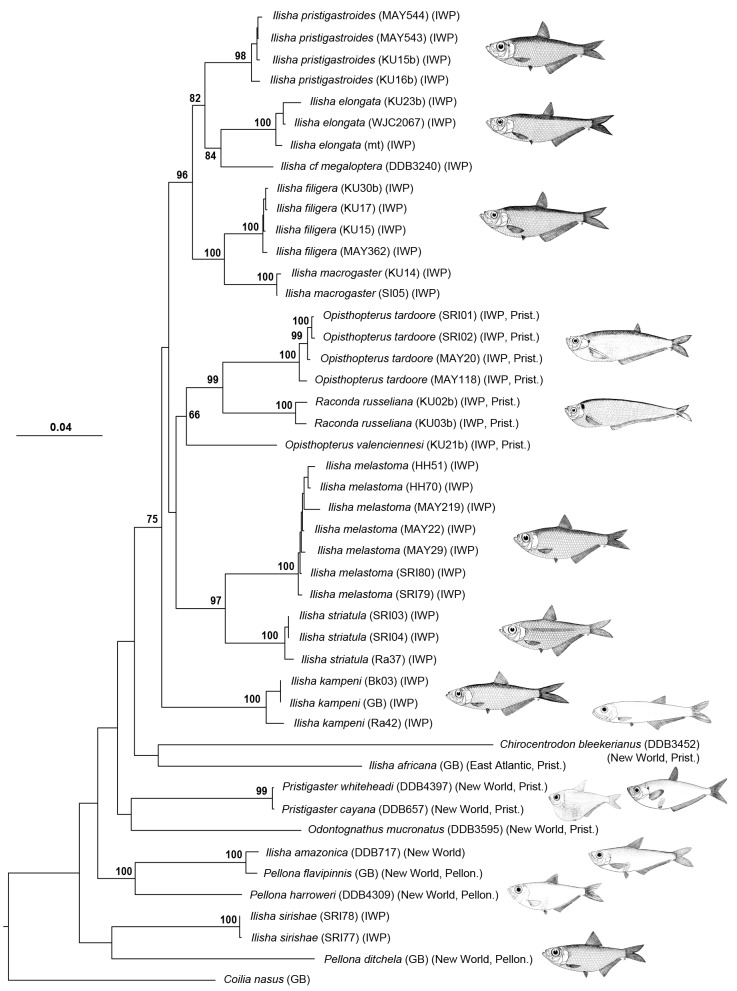 Fig. 3.