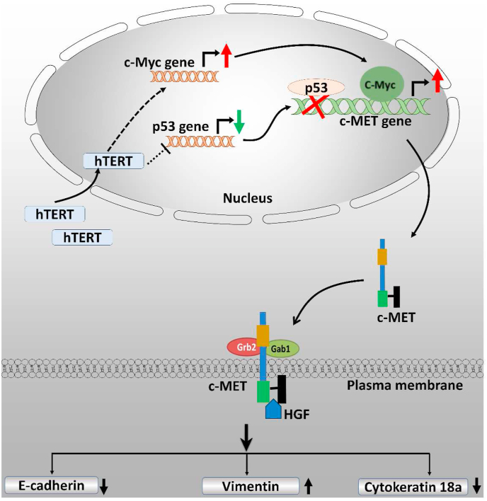 Figure 6