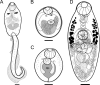 Figure 3.