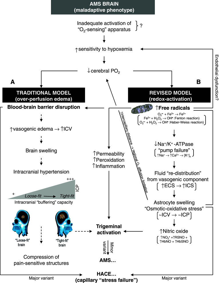 Fig. 6