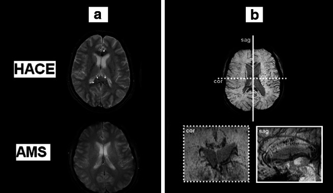 Fig. 8