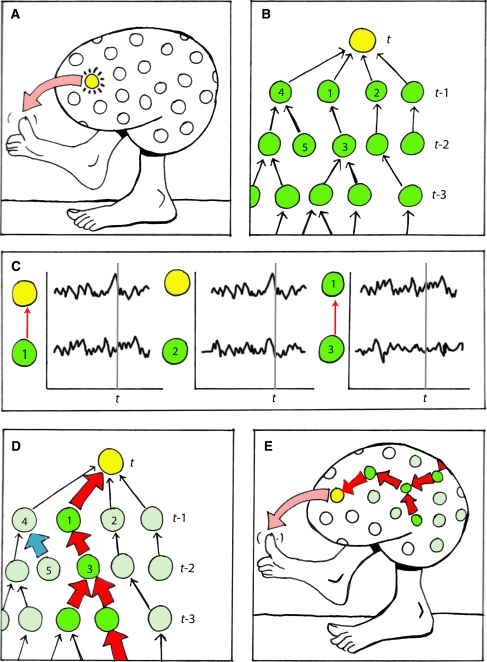 Fig. 6