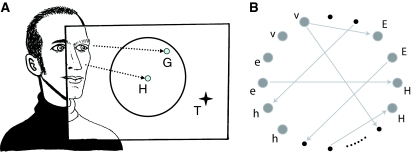 Fig. 1