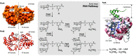 FIG 6