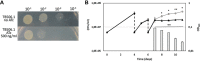 FIG 2