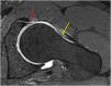 Fig. 8