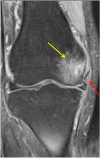 Fig. 7