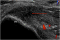 Fig. 5