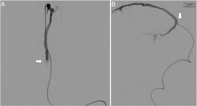 Figure 4