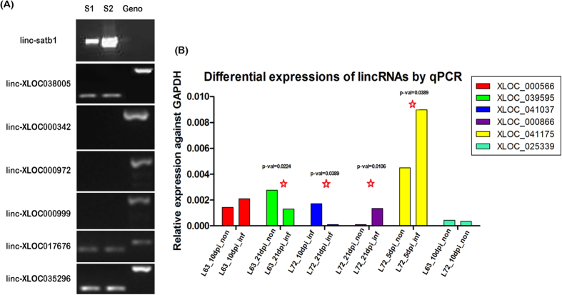 Figure 13