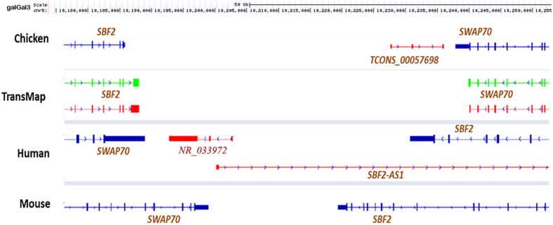 Figure 4