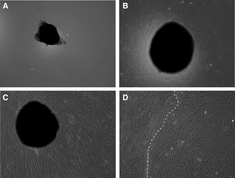 FIG. 1.