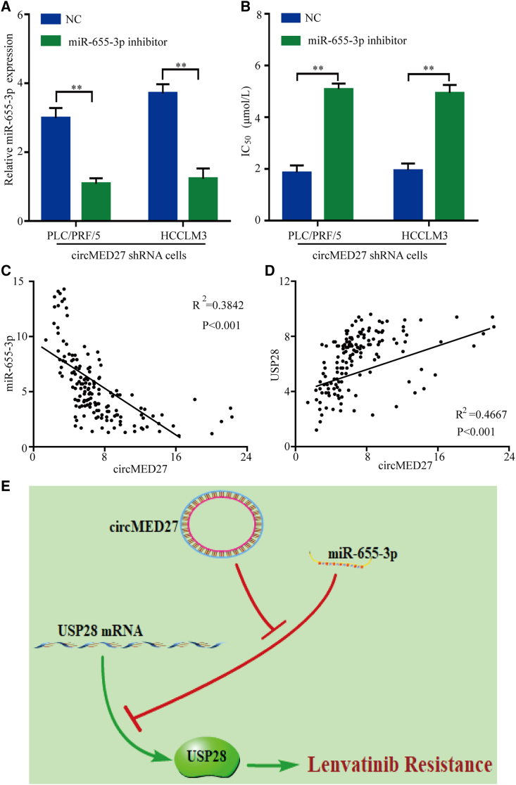 Figure 6