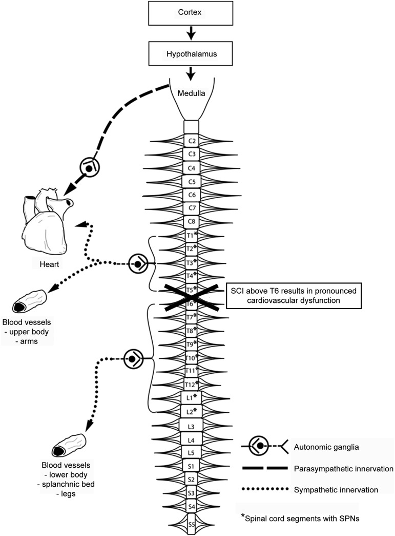 FIG. 1.