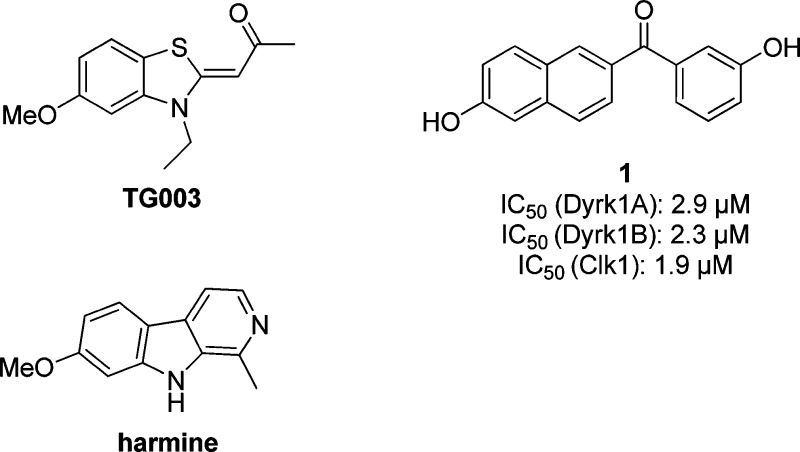 Figure 1