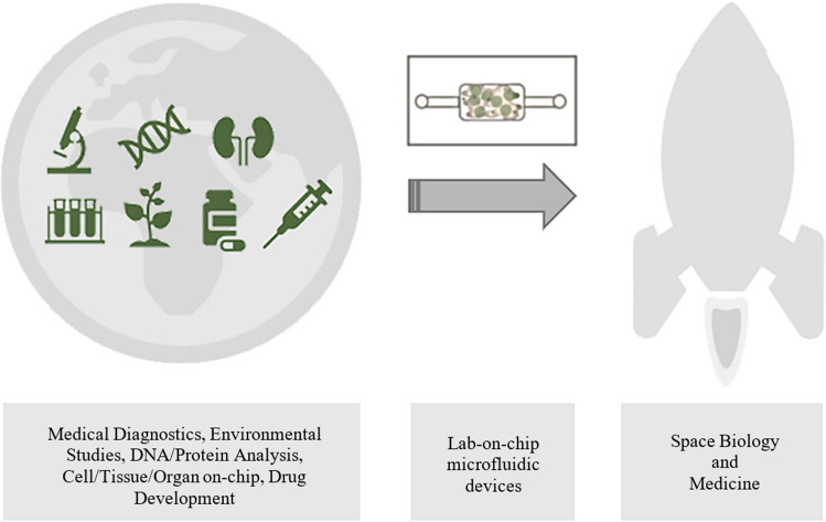 graphic file with name 604_2023_6084_Figa_HTML.jpg