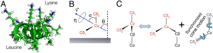 Fig. 1.