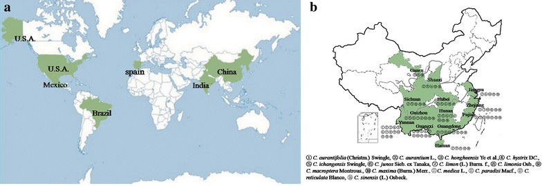 Fig. 1