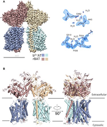 Fig. 2