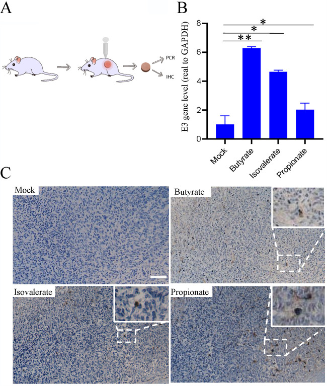 FIG 6