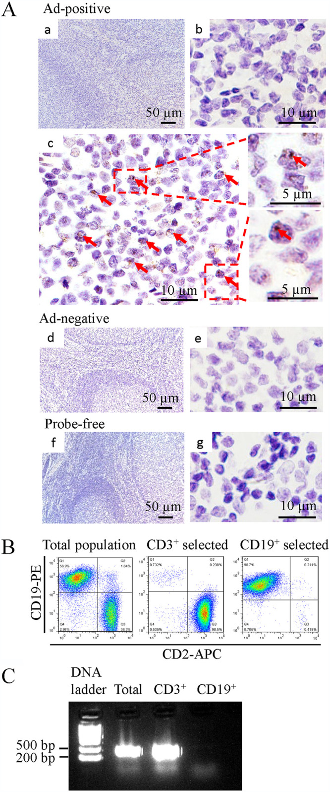 FIG 1