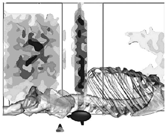 Figure 1b