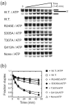 Fig. 8