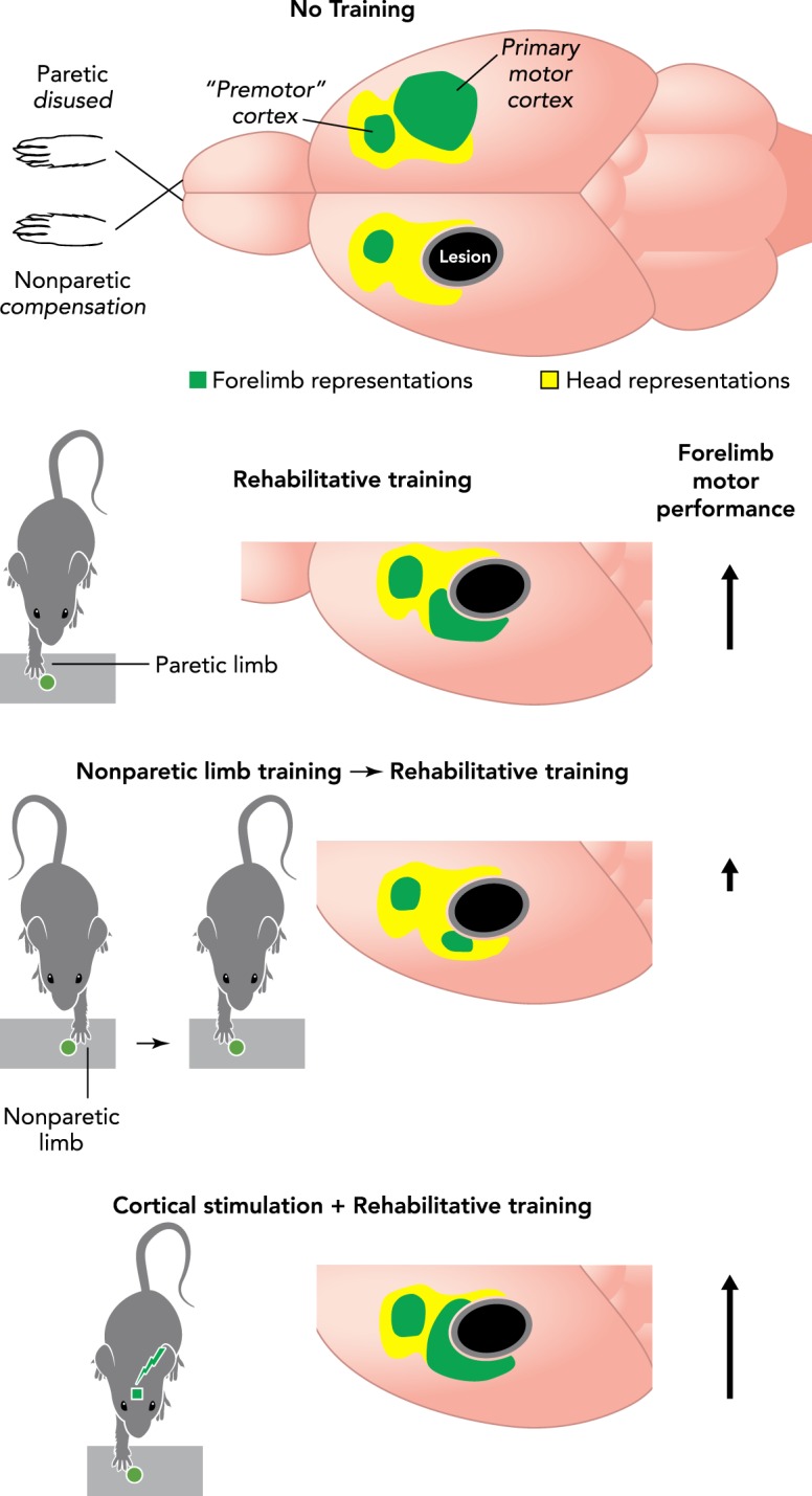 FIGURE 3.