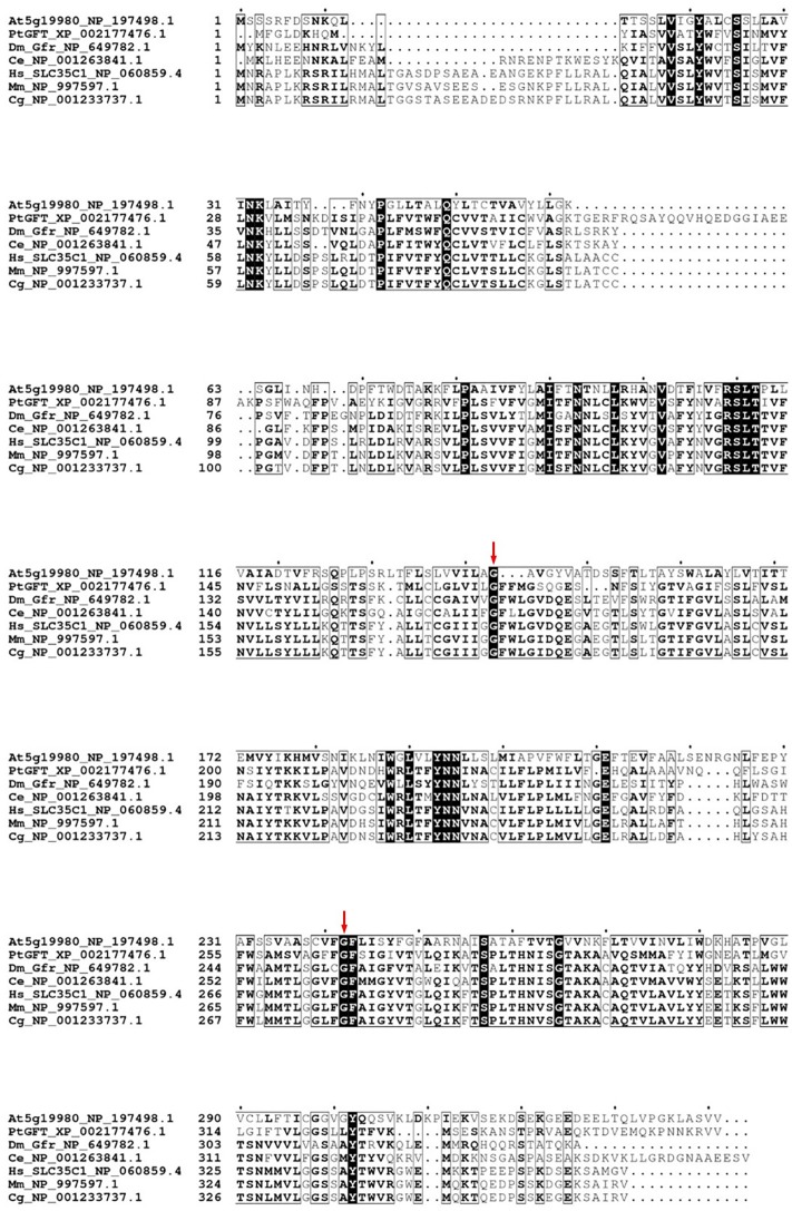 FIGURE 2