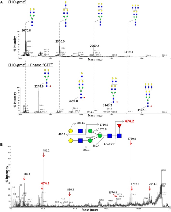 FIGURE 4