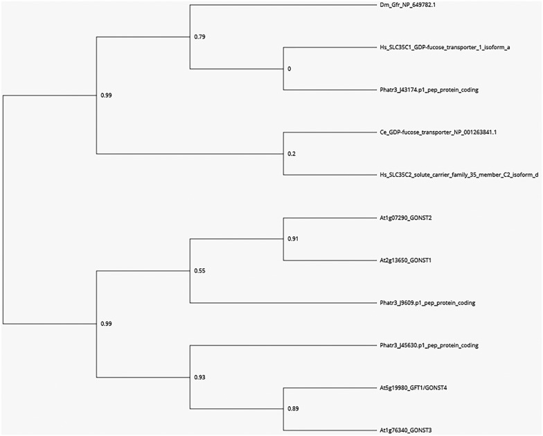 FIGURE 1