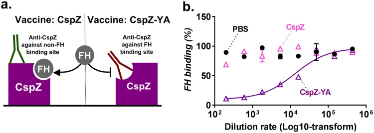 FIG 6