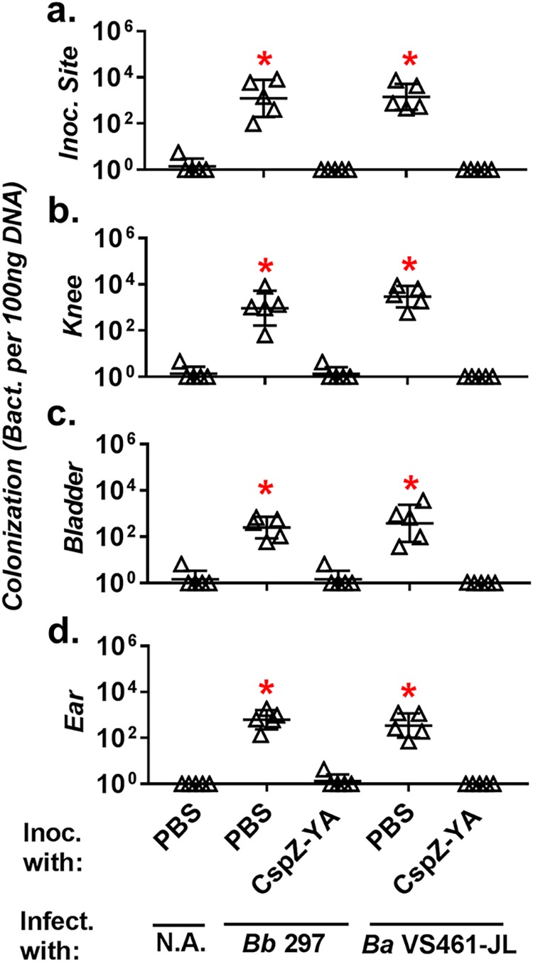 FIG 3