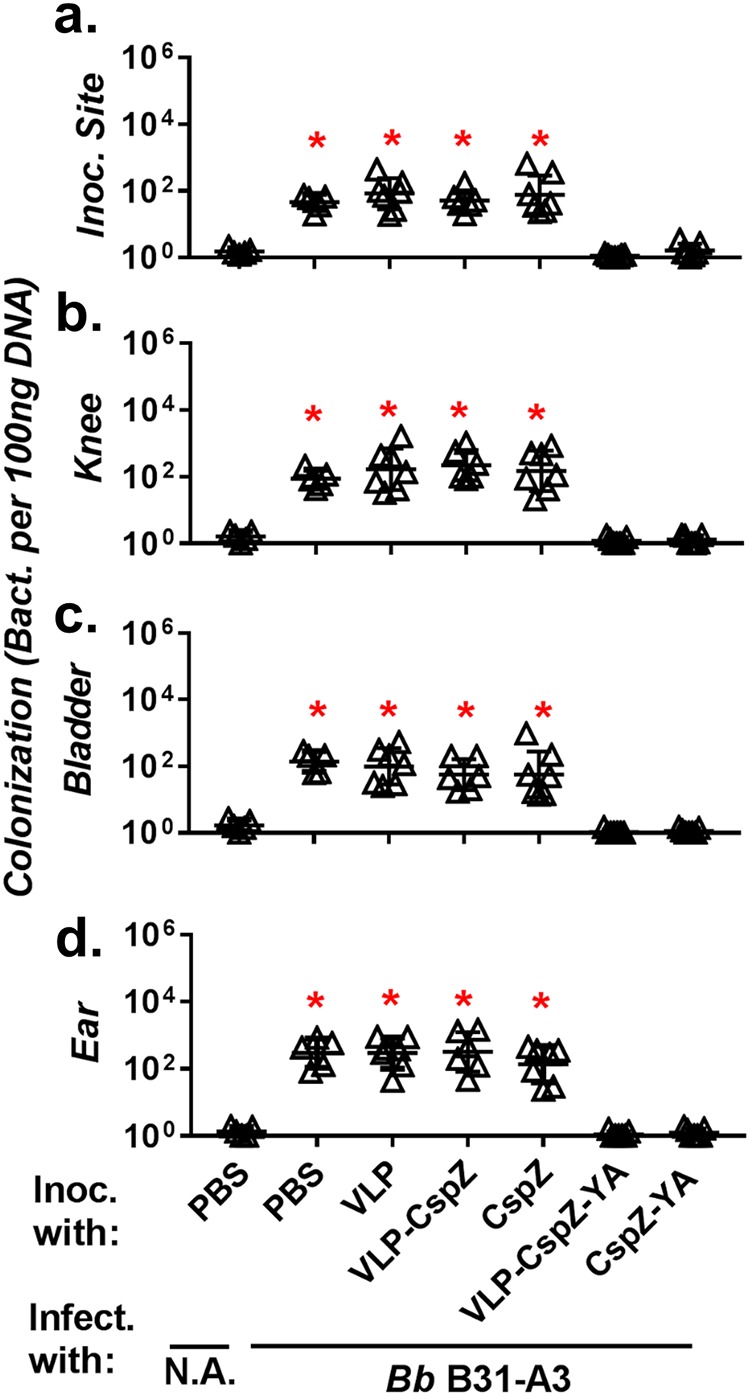 FIG 1