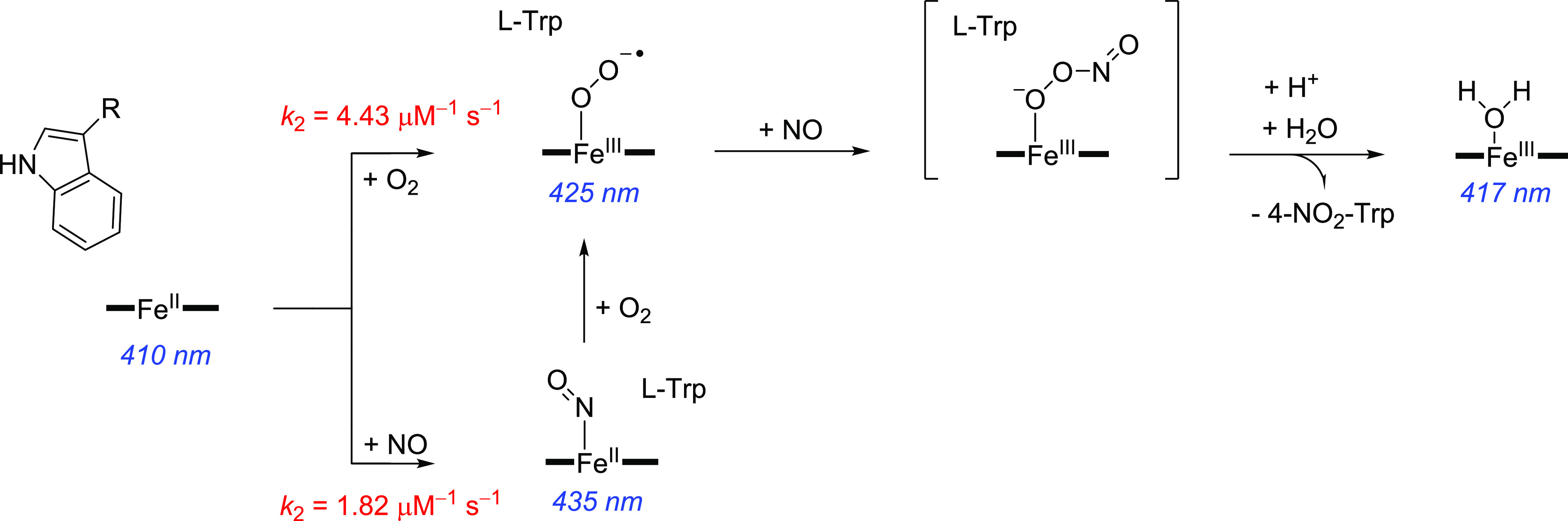 Scheme 2